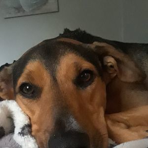 Meet your Posher, Anita